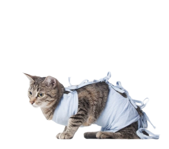 Стерилизация животных
