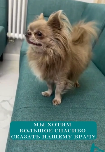 Видео отзыв